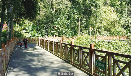 一场婚礼见证川商在闽的崛起 一场婚礼见证川商在闽的崛起