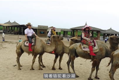 寧夏印象(上) 寧夏印象(上)