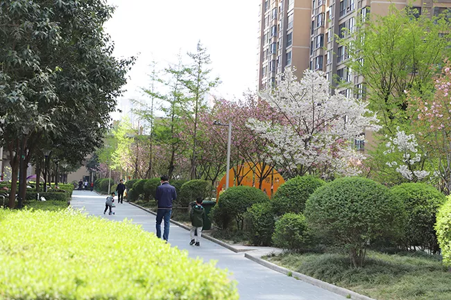 　　聆水居这么美，你知道么？