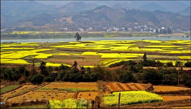 S320辰溪伍家湾至辰溪公路改建工程