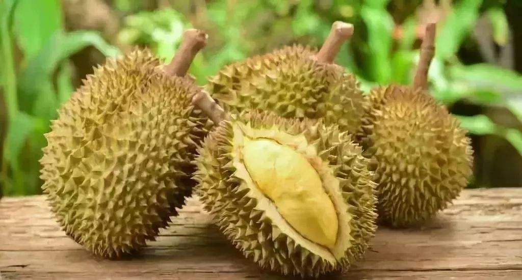 你知道吗?吃榴莲有五大误区! 你知道吗?吃榴莲有五大误区!