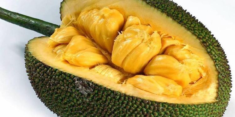 你知道吗?吃榴莲有五大误区! 你知道吗?吃榴莲有五大误区!