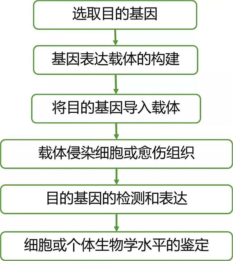 高通量测序结果全方位验证策略