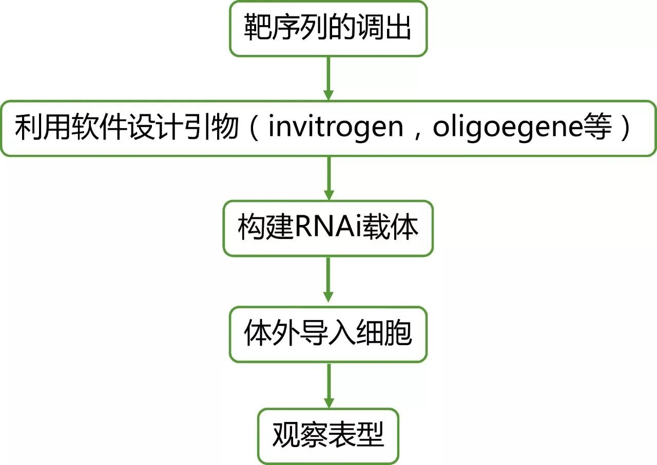 高通量测序结果全方位验证策略