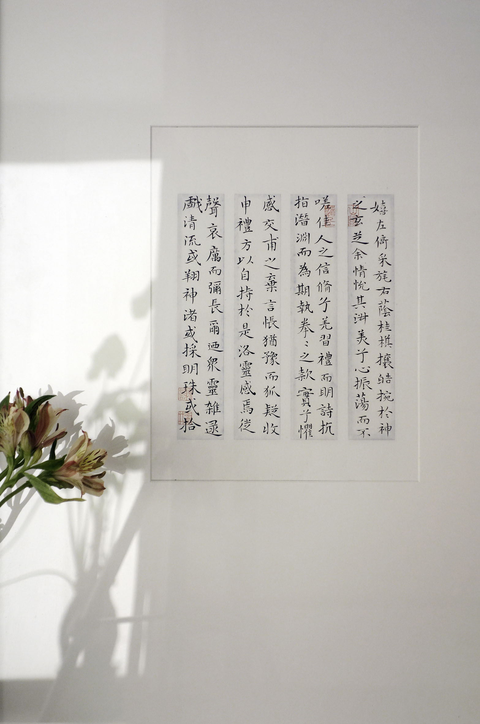 安宁观志 · 谢奕林作品展 安宁观志 · 谢奕林作品展