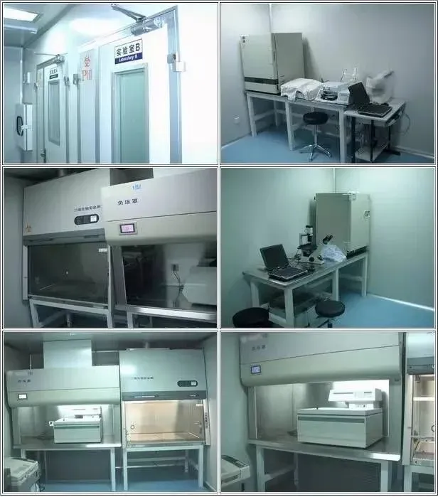 P3级实验室设计与施工