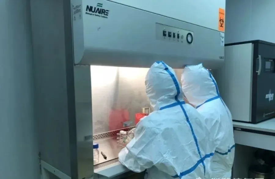 盤點我國P3、P4實驗室