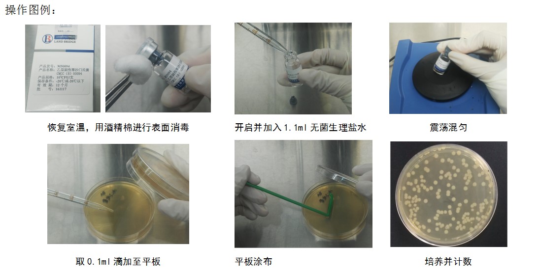 何為商業(yè)派生菌株？