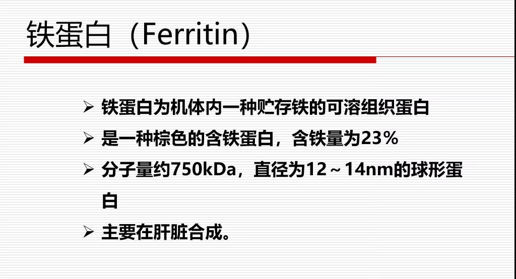 铁蛋白测定试剂盒(POCT)的意义 铁蛋白测定试剂盒(POCT)的意义