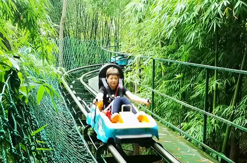 游川西竹海 逛平乐古镇 游川西竹海 逛平乐古镇