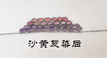 微生物檢驗中常用的染色方法介紹