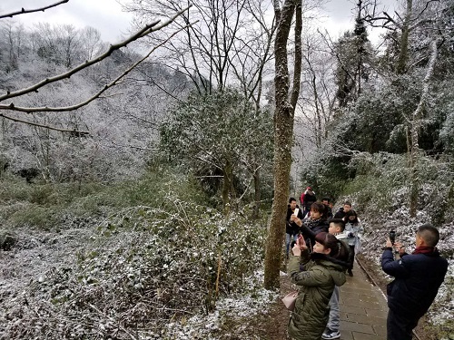 青城后山 都市人的“后花园” 青城后山 都市人的“后花园”