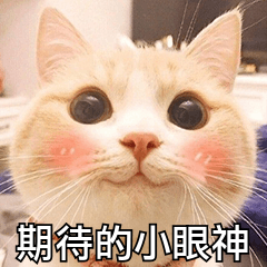 图片9.png 图片9.png