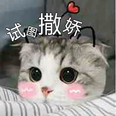4.gif 4.gif