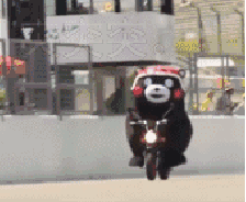 1.gif 1.gif