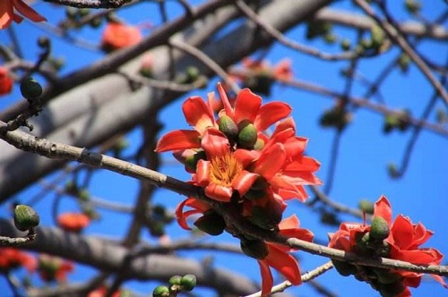 孝敬爸媽 請(qǐng)帶到攀枝花(2) 孝敬爸媽 請(qǐng)帶到攀枝花(2)