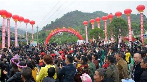 又到了樱桃采摘的季节 又到了樱桃采摘的季节