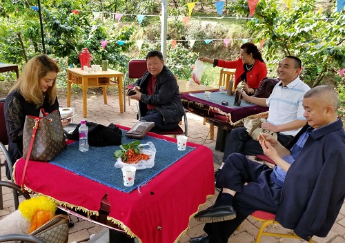 又到了樱桃采摘的季节 又到了樱桃采摘的季节