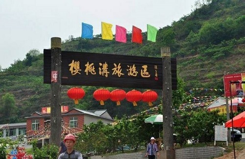 又到了樱桃采摘的季节 又到了樱桃采摘的季节