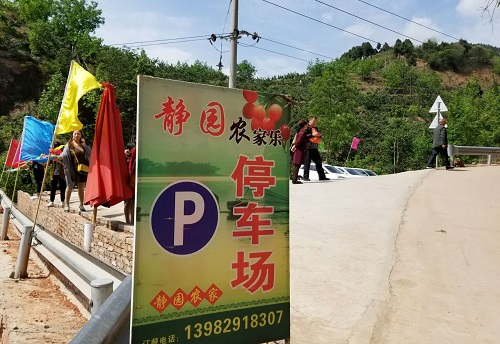 又到了樱桃采摘的季节 又到了樱桃采摘的季节