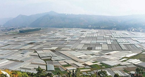 “攀西采访”之行(16):“161”工程 “攀西采访”之行(16):“161”工程