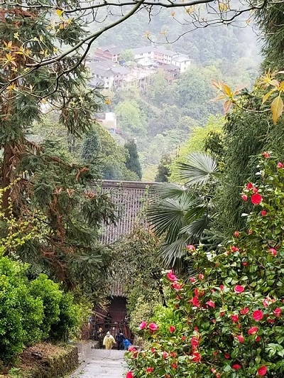 青城后山 都市人的后花園(再篇) 青城后山 都市人的后花園(再篇)