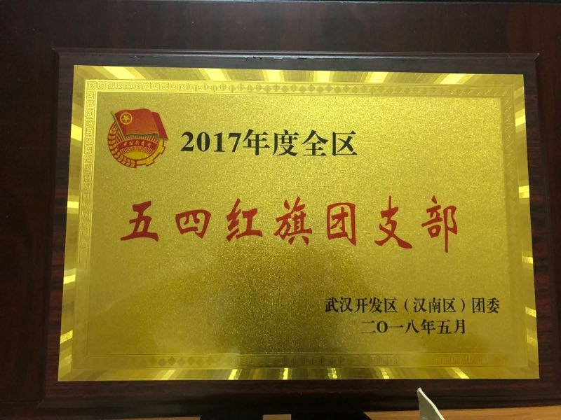 市政工程事業(yè)部榮獲全區(qū)五四紅旗團(tuán)支部稱號 市政工程事業(yè)部榮獲全區(qū)五四紅旗團(tuán)支部稱號