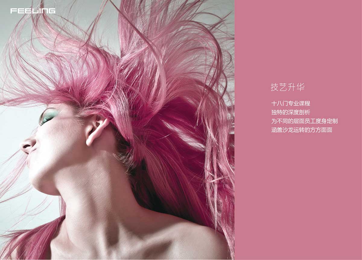 菲灵教育