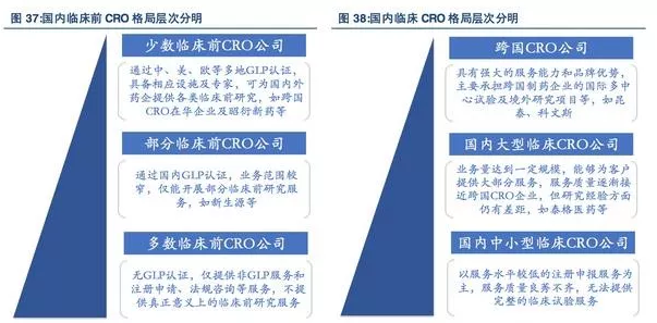 药物研发催生新兴行业,CRO 国内市场腾飞在即（下）