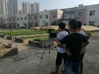 中国农科院油料研究所Pika II