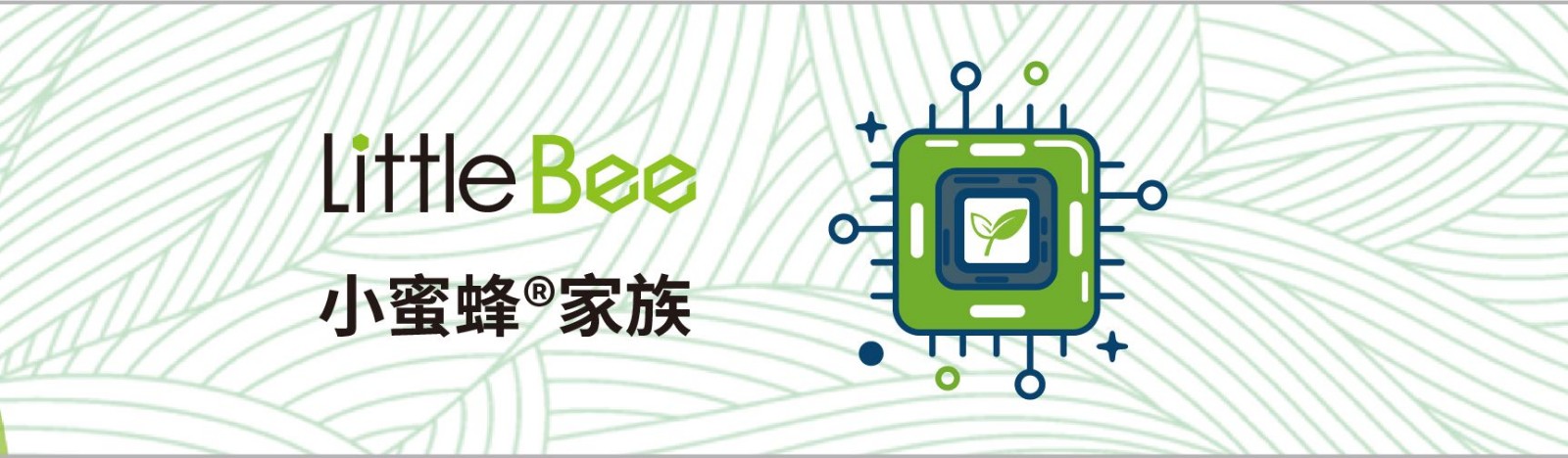 小蜜蜂家族