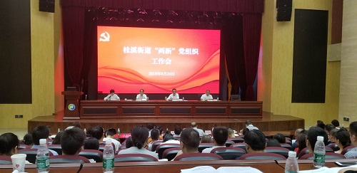 桂溪街道召开2018年“两新”党组织工作会 桂溪街道召开2018年“两新”党组织工作会