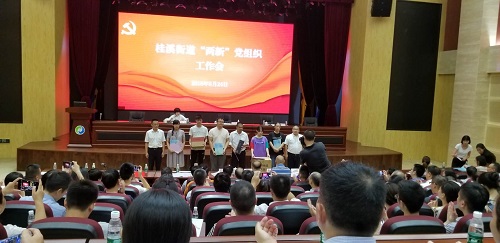 桂溪街道召开2018年“两新”党组织工作会 桂溪街道召开2018年“两新”党组织工作会