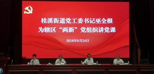 桂溪街道召开2018年“两新”党组织工作会 桂溪街道召开2018年“两新”党组织工作会