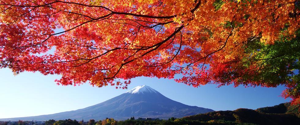 秋季日本住宿旅行目的地排行榜! 秋季日本住宿旅行目的地排行榜!
