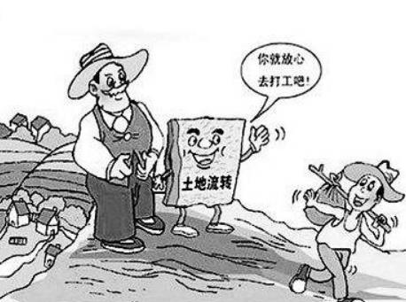 集体土地的拆迁程序是什么? 集体土地的拆迁程序是什么?