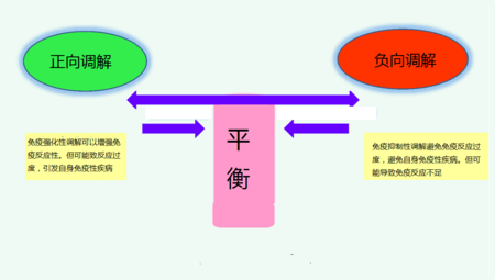 日本获得诺贝尔奖的“免疫疗法”,对癌症治疗有什么重大 日本获得诺贝尔奖的“免疫疗法”,对癌症治疗有什么重大