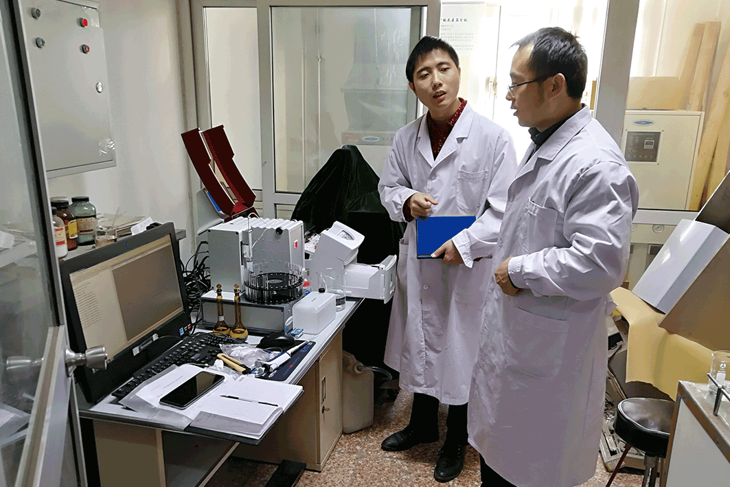 中国科学院地质与地球物理研究所 Futura