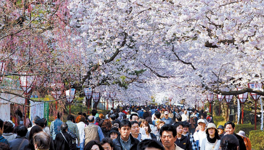 2019年日本黄金十连休 赴日旅游注意避开人潮! 2019年日本黄金十连休 赴日旅游注意避开人潮!
