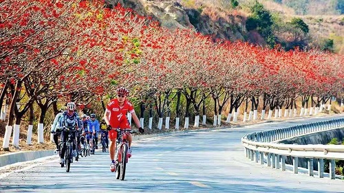 道和遠大集團攀枝花分公司成立 道和遠大集團攀枝花分公司成立