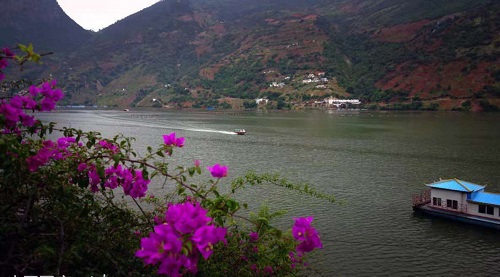 道和遠大集團攀枝花分公司成立 道和遠大集團攀枝花分公司成立