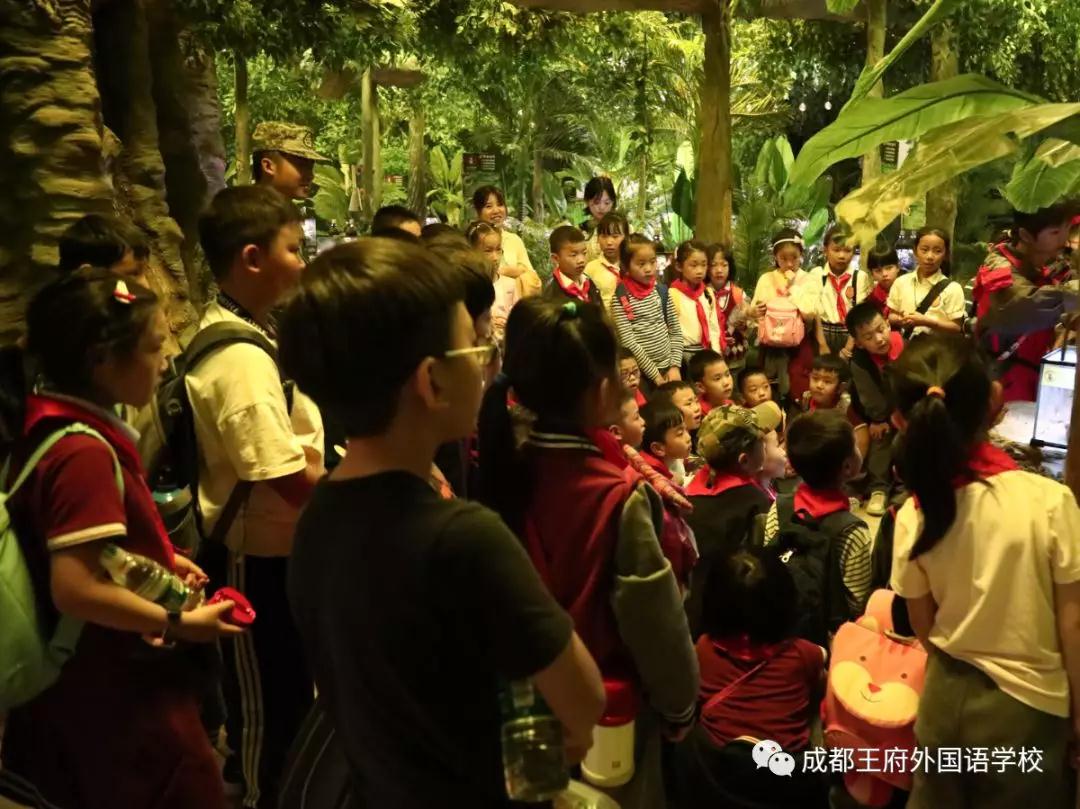 探究生命奥秘,描绘童年色彩——记成都王府2019秋季研学(一) 探究生命奥秘,描绘童年色彩——记成都王府2019秋季研学(一)