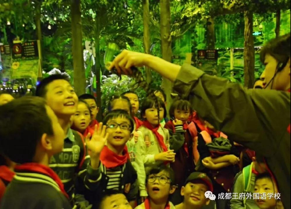 探究生命奥秘，描绘童年色彩——记成都王府2019秋季研学（一）