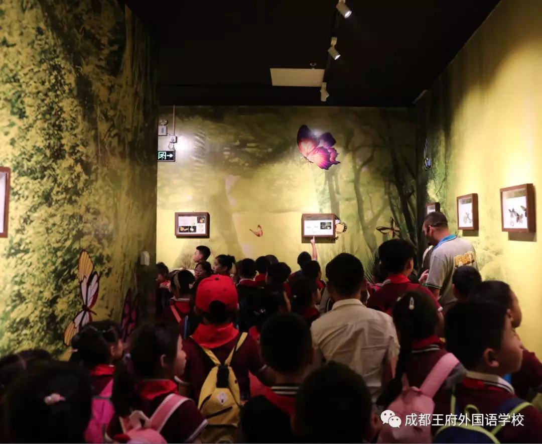 探究生命奥秘,描绘童年色彩——记成都王府2019秋季研学(一) 探究生命奥秘,描绘童年色彩——记成都王府2019秋季研学(一)
