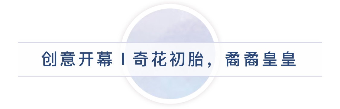 青春新川,有作其芒—新川外国语学校第一届校园运动会 青春新川,有作其芒—新川外国语学校第一届校园运动会