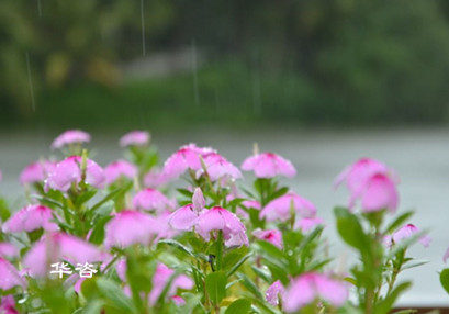環(huán)評_華咨環(huán)保機(jī)構(gòu)_第三方專業(yè)航評公司_湖南長沙華咨環(huán)保公司專業(yè)的技術(shù)單位 環(huán)評_華咨環(huán)保機(jī)構(gòu)_第三方專業(yè)航評公司_湖南長沙華咨環(huán)保公司專業(yè)的技術(shù)單位
