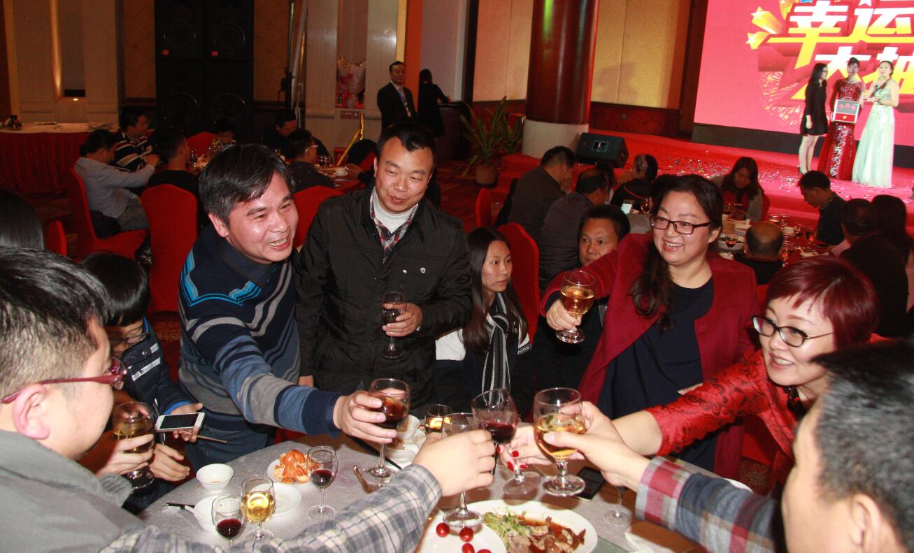 “迪奥情，绿色梦”——广东迪奥2017年迎春晚会成功举办！