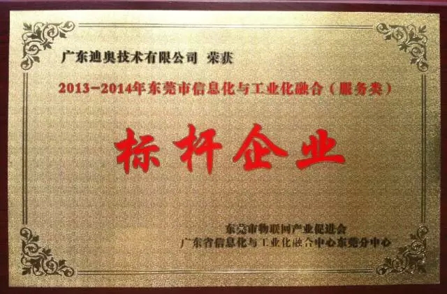 广东迪奥