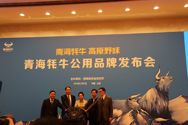 青海牦牛公用品牌发布会今日在北京人民大会堂举行