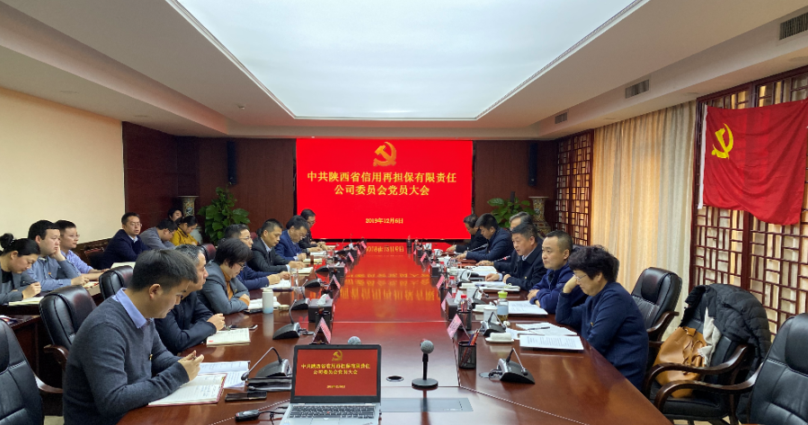 陕西再担保公司召开全体党员大会 选举产生新一届党委及纪委班子